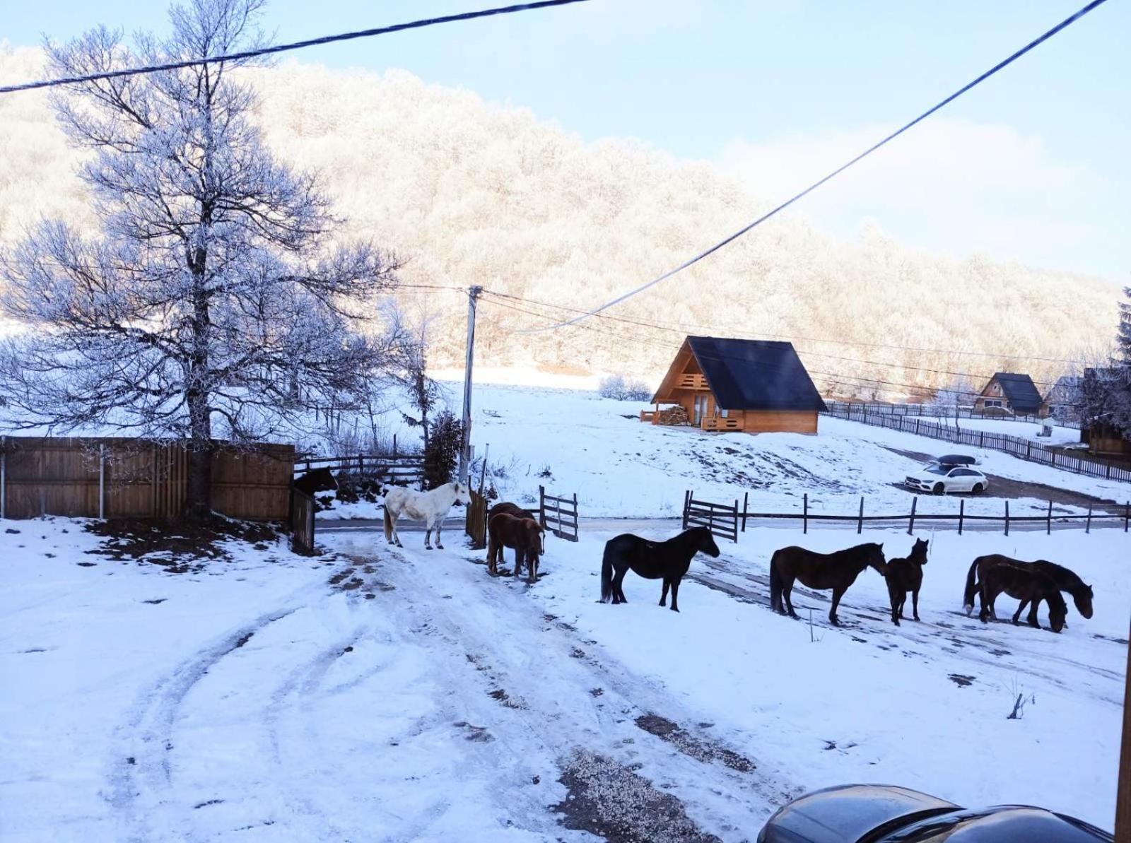 Vikendica Nole Jahorina Villa ปาเล ภายนอก รูปภาพ